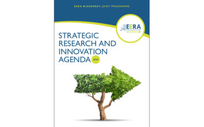 Aalborg University contributed to the new Strategic Research and Innovation Agenda (SRIA) of EERA Bioenergy JP